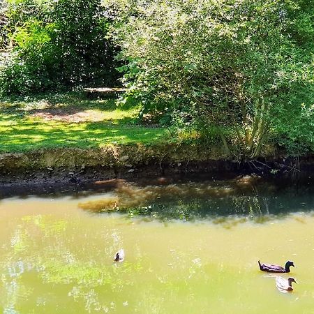 Tout Le Confort Au Milieu D'Un Parc Botanique Noyal-Muzillac Экстерьер фото